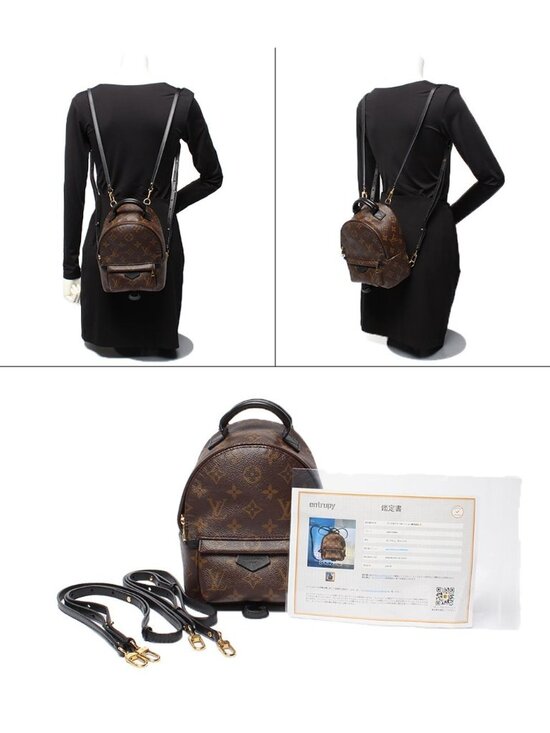 Louis Vuitton Backpack Palm Springs Mini Monogram